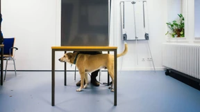 Atemlos in Richtung Machterhalt