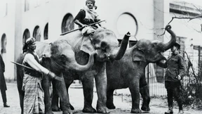 „Man ging eben sonntags in die Völkerschau“