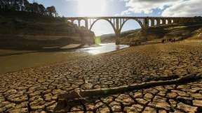 Bis zum letzten Tropfen