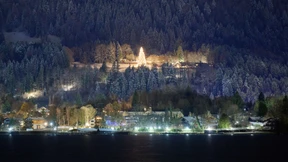 „Der Baum hat danach geschrien, beleuchtet zu werden“