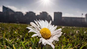 Auf sommerliche Hitze folgen Gewitter