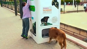 Futter gegen Plastikflaschen