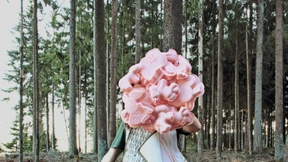 Landschaften am Main