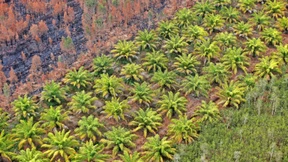 Nachhaltig zurückhaltend