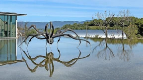 Guter Geschmack kennt keine Grenzen