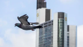 Commerzbank will Oldenburgische Landesbank nicht mehr