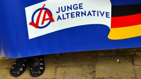 Auch AfD Berlin unter Beobachtung