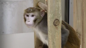 Staatsanwaltschaft ermittelt gegen Regierungspräsidium