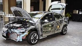 Kuriose Kolosse und verkannte Hybride