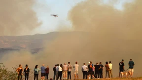 Zehn Tote bei Waldbränden in Kalifornien