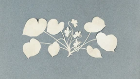 Unbekannte Scherenschnitte von Runge erworben