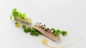 Savannen-Duft am Goldenen Steig