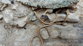 Archäologen entdecken 3500 Jahre alten Grabschatz