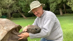 Älteste Schildkröte der Welt feiert 190. Geburtstag