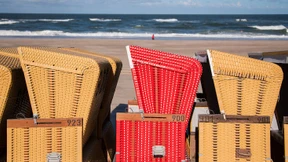 Literarische Triebabfuhr