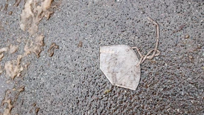 Rekord an Sterbefällen  im Corona-Jahr