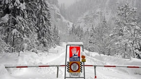 Kind von umstürzendem Baum erschlagen