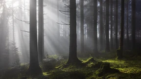 Harry Potter und die Folgen