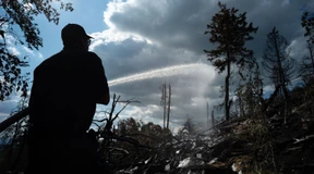 Ohne Verluste geht es nicht