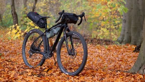 Halsabschneider oder Bachforelle?