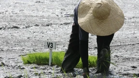 Etwas Besseres finden sie überall