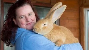 Riesenkaninchen Atlas hat ein neues Zuhause