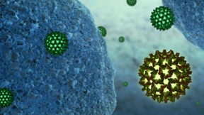 Wie Leberzellen durch Hepatitis untergehen 