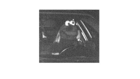 Rast da etwa das Krümelmonster?