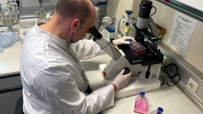 Erster Fall von Affenpocken in Deutschland festgestellt