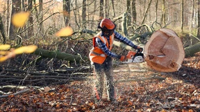Es wird eng für den Hambacher Forst