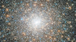 Rätselhafte Ur-Giganten