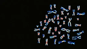 Ein digitaler Sommer für Deutschlands Medizin