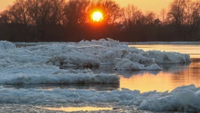 Meterhohe Eisberge an der Elbe ziehen Schaulustige an