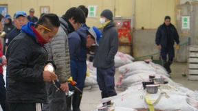 Verwirrung um Tokios größten Fischmarkt hat ein Ende 