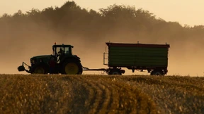 Es gibt nur noch den Untergang