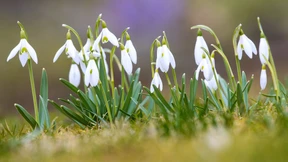 Das ändert sich im März