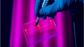 Hoffnungsträger im Erbgut