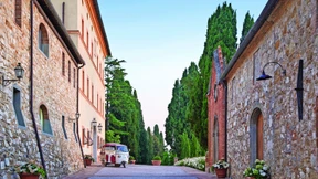 Zuflucht bei Zikaden und Leoparden