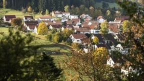 Kein Grund zur Panik, aber zur Eile