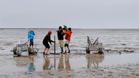 Kirche nach Jahrhunderten im Wattenmeer entdeckt