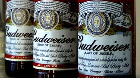 Budweiser wird aus Delhi verbannt
