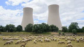 Habecks Atomkraft-Kompromiss: „Die ganze Welt schüttelt den Kopf über uns“