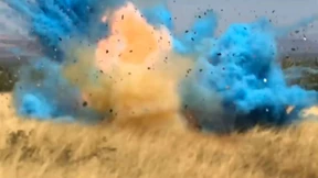 Junge? Mädchen? Buschbrand!