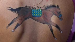 Auch Pferde-Rücken kann entzücken