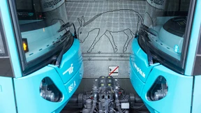 Leichtsinn oder Verwirrung 