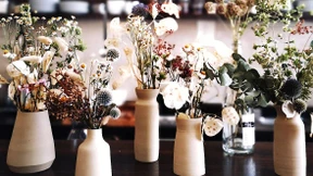 Oma wusste es schon immer