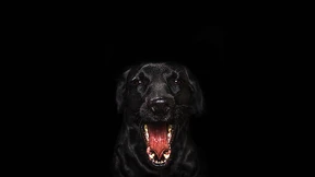 Ein Grund, das Fürchten zu lernen