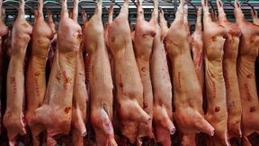 Kühlhaus statt Computer