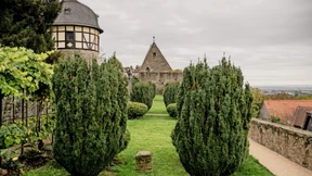 Rosenbeete statt Buchsbaum im Prinzengarten