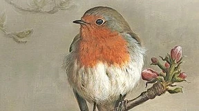 Flamingos hinter dem Auerhuhn